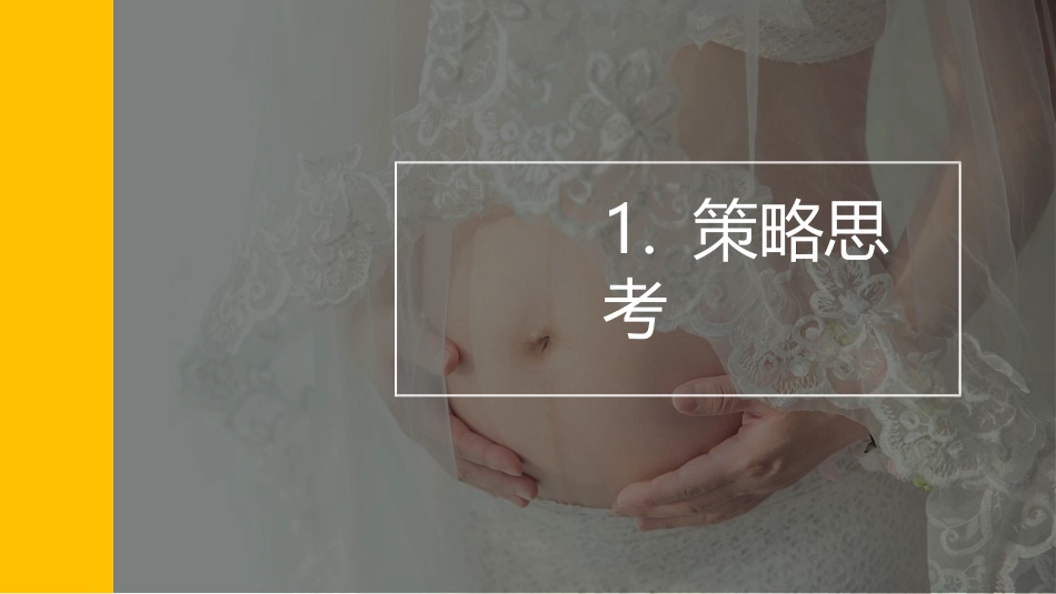 2018袋鼠妈妈天猫欢聚日营销策划方案.pptx_第3页