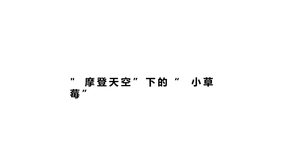 20210426-小草莓亲子音乐节招商方案.pptx_第3页
