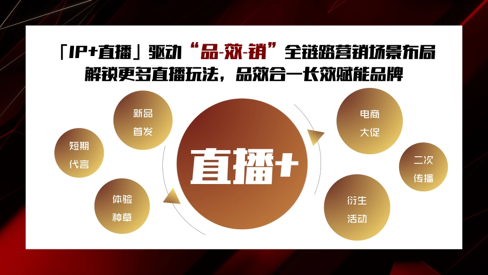 2020《乘风破浪的姐姐》抖音直播招商方案.pdf_第3页