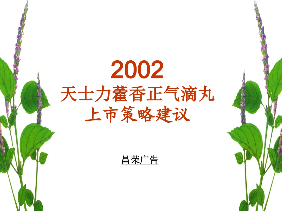 2002天士力藿香正气滴丸上市策略建议.ppt_第2页