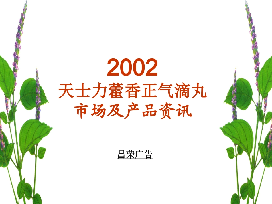 2002天士力藿香正气滴丸市场及产品资讯.ppt_第2页