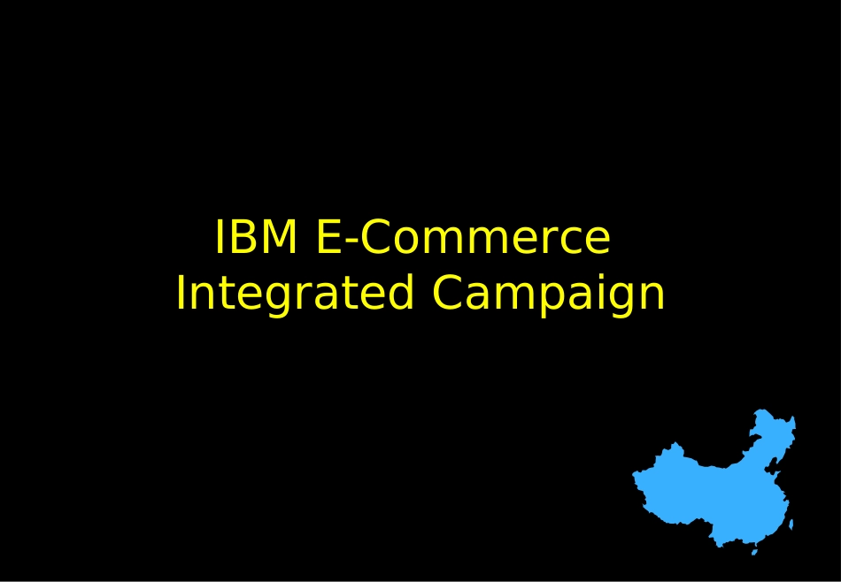 IBM E-Commerce Integrated Campaign.ppt_第2页