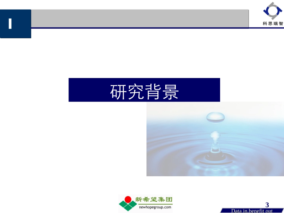 科思睿智-新希望乳业品牌规划咨询建议书.ppt_第3页