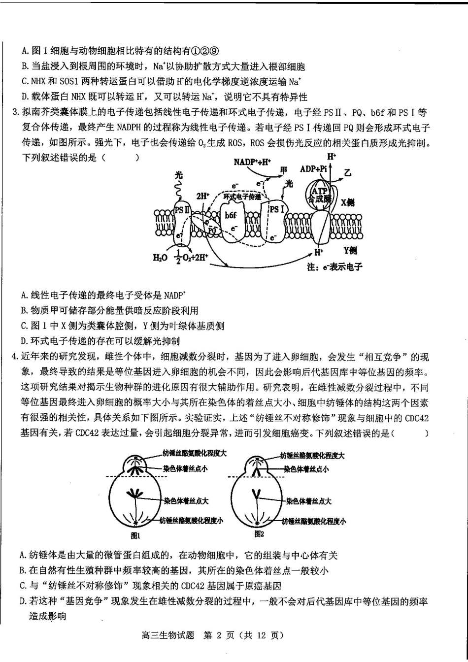 山东中学联盟2025届高三12月百校大联考生物试题.pdf_第2页