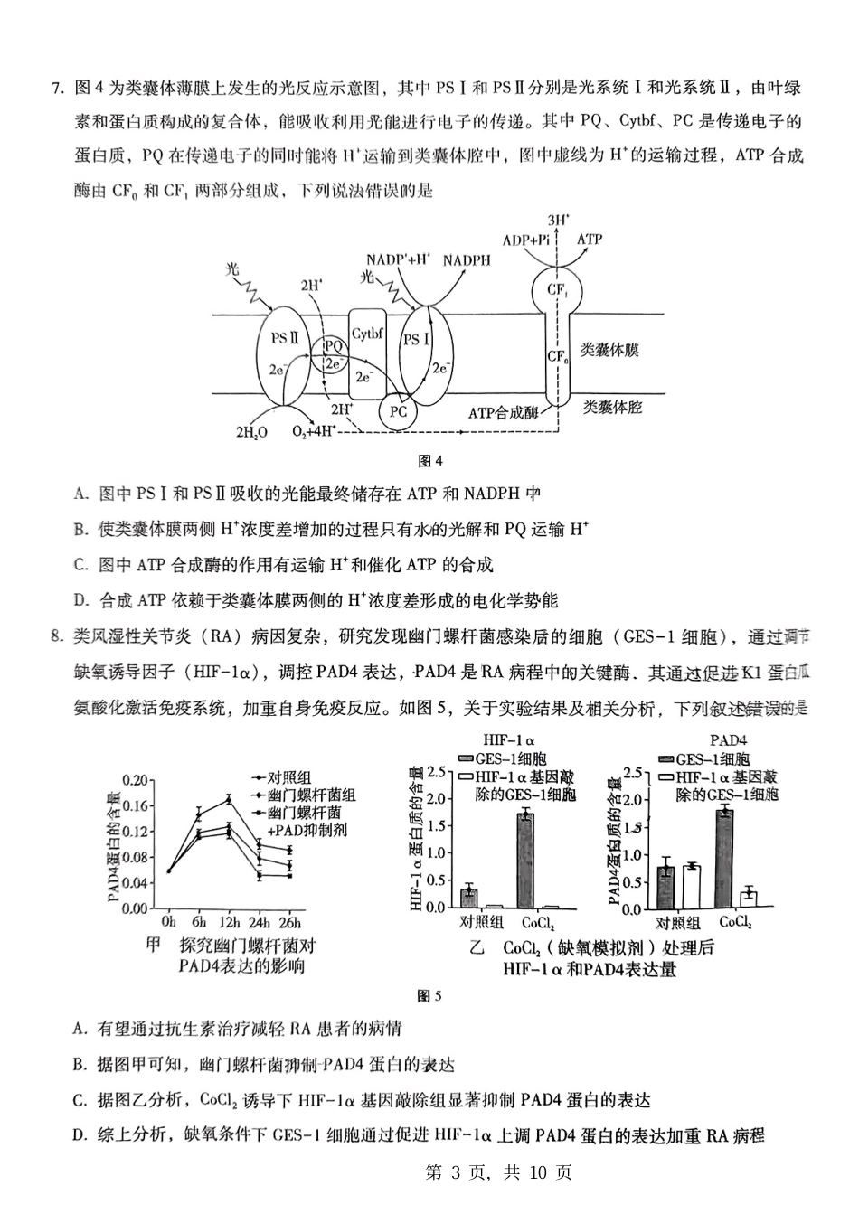 重庆市第八中学2025届高三12月适应性月考（四）生物.pdf_第3页