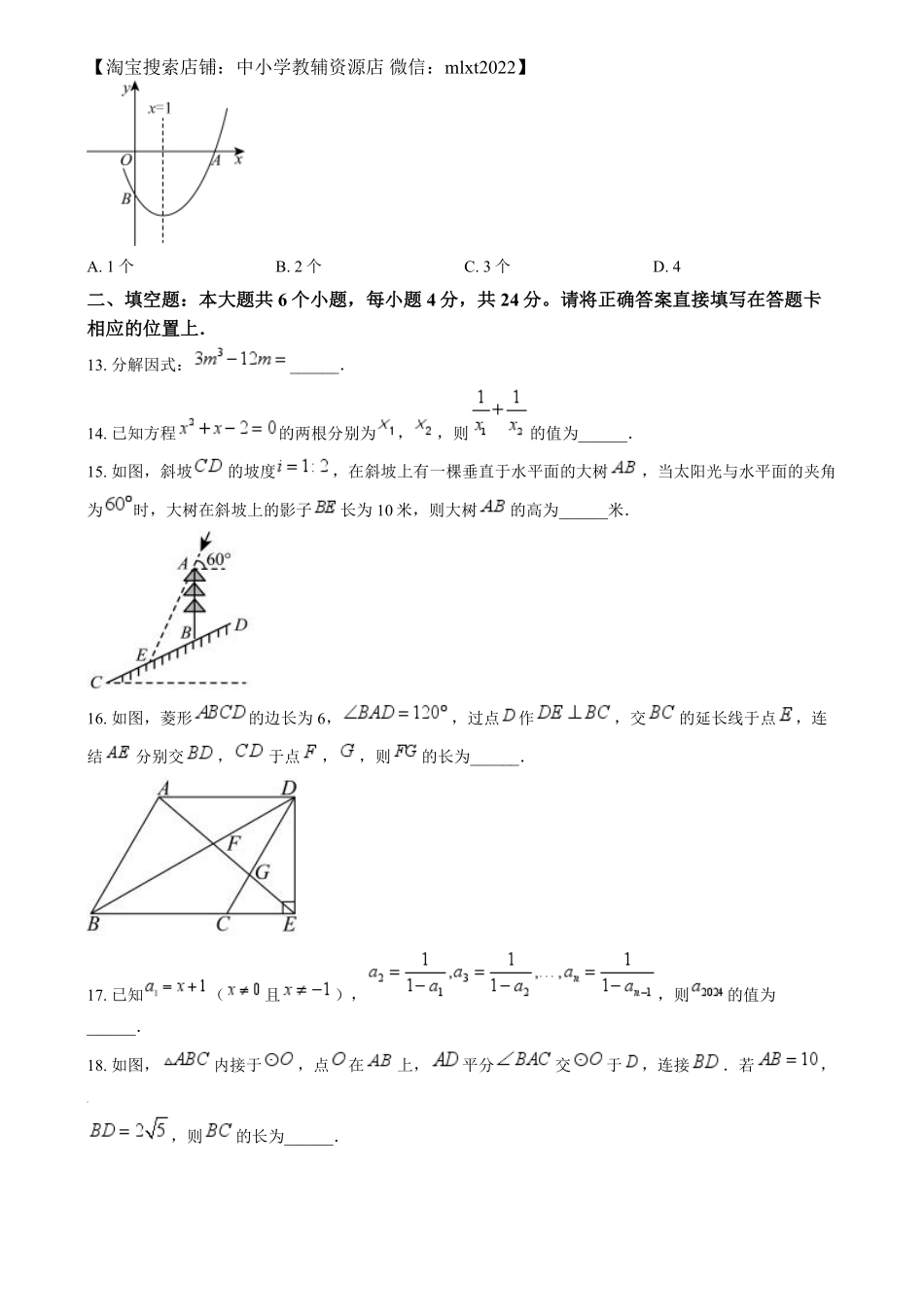 精品解析：2024年四川省眉山市中考数学试题（原卷版）.pdf_第3页