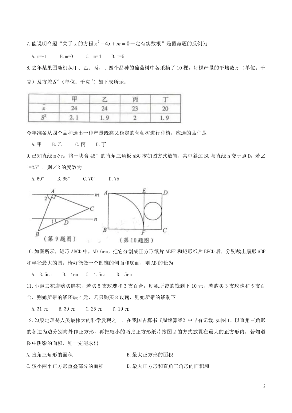 浙江省宁波市2019年中考数学真题试题.pdf_第2页