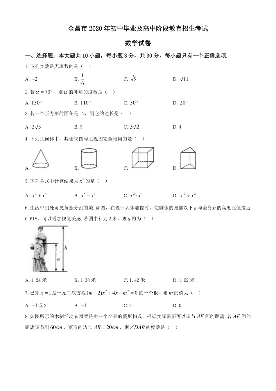 甘肃省金昌市2020年中考数学试题.pdf_第1页