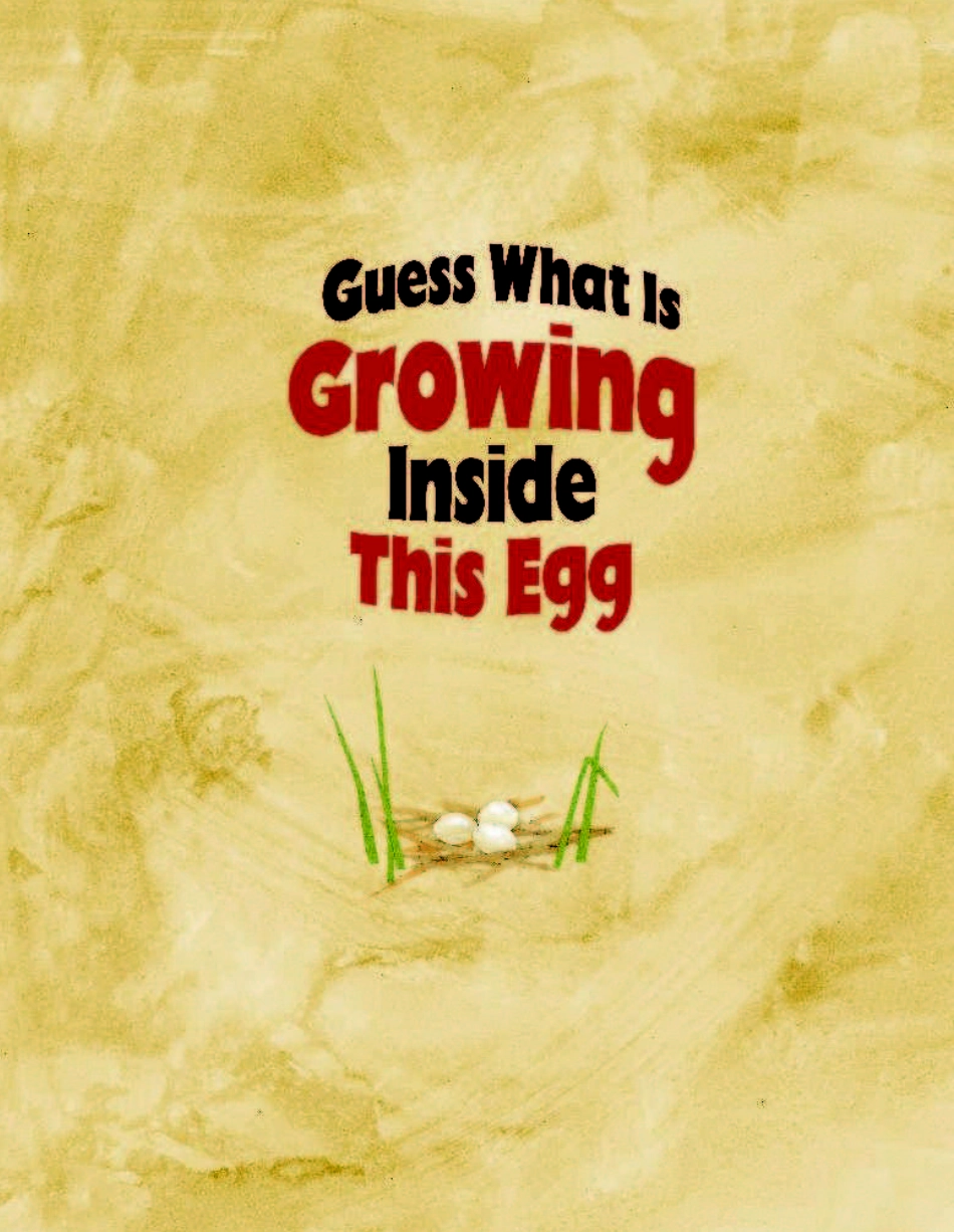 Guess What is Growing inside the Egg.pdf_第3页