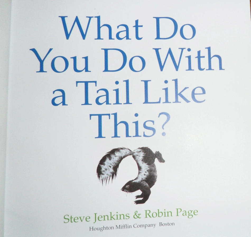 What_do_you_do_with_tail_like_this.pdf_第2页