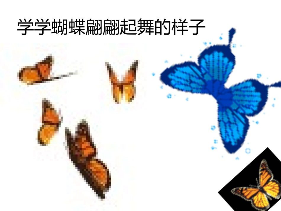 大班科学课件（ppt）：美丽的蝴蝶.ppt_第2页