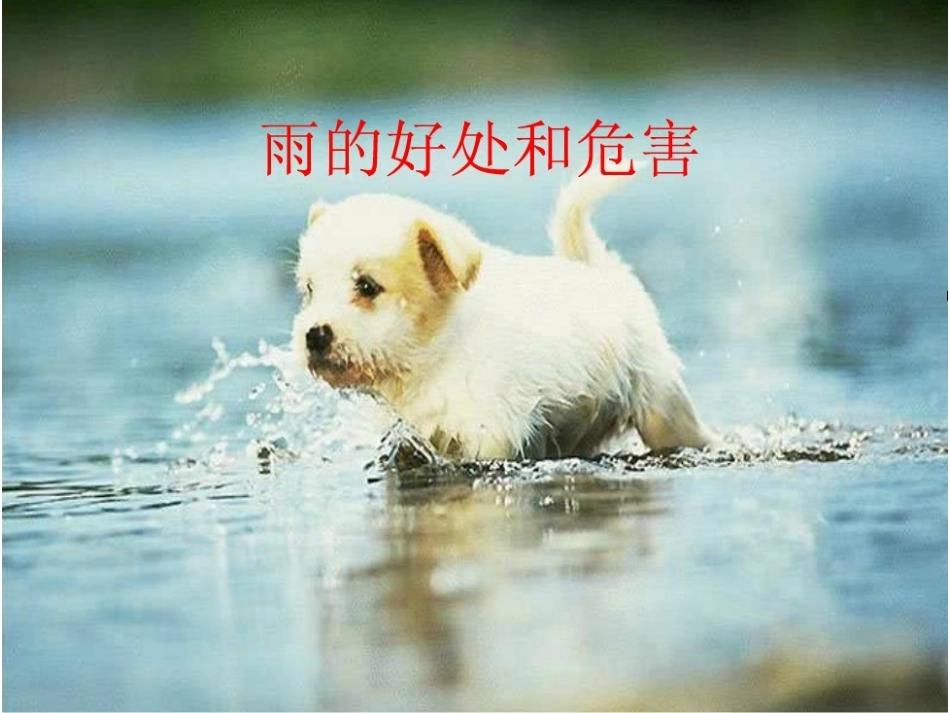 大班科学课件：雨的好处和危害（ppt）.ppt_第1页