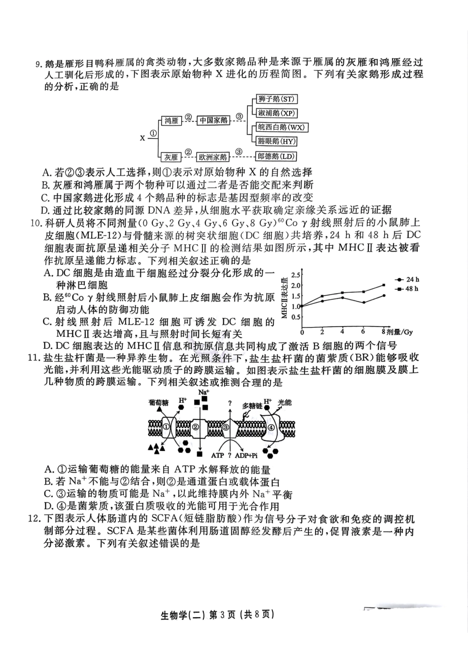 河北省衡水金卷先享题2025届高三一轮复习夯基卷（二）生物试题.pdf_第3页