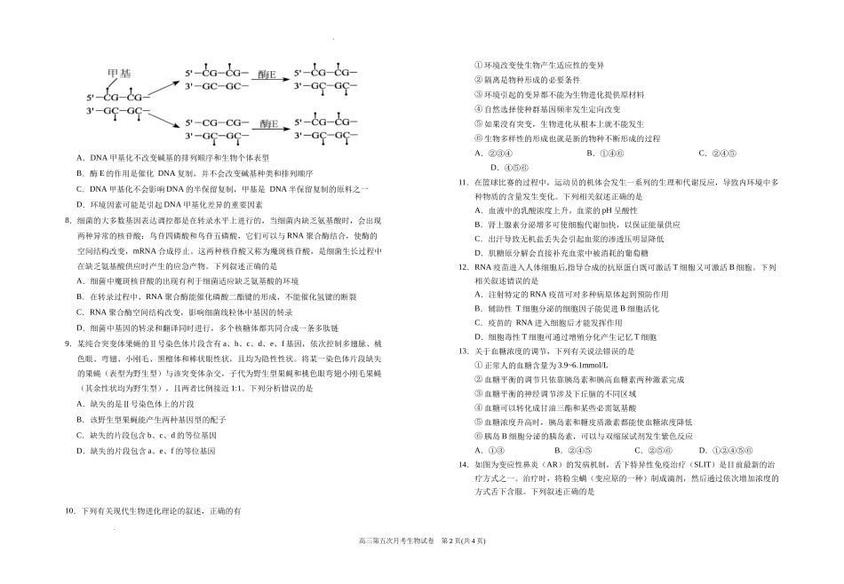 宁夏银川一中2025届高三上学期第五次月考生物含答案.docx_第2页