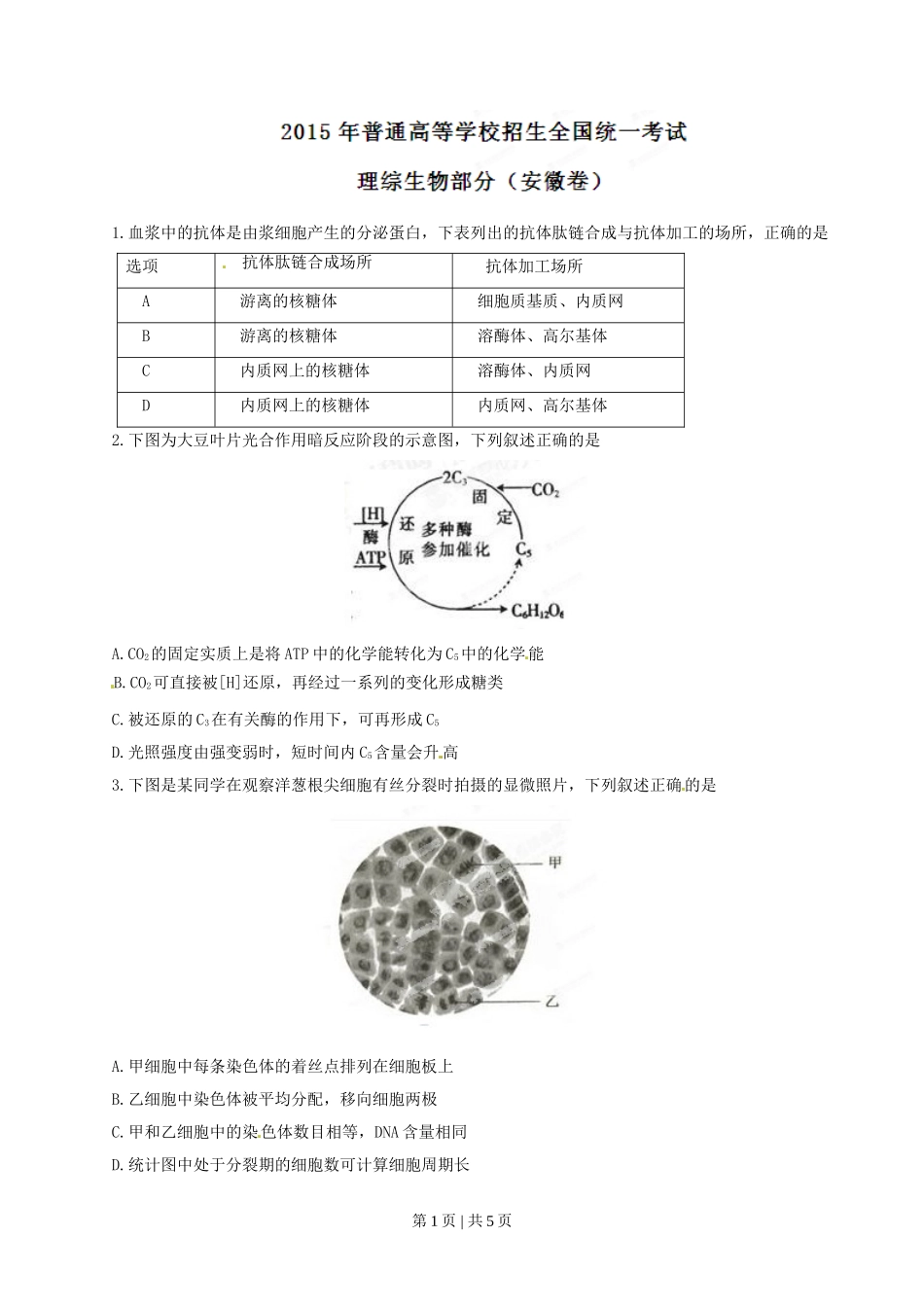 2015年高考生物试卷（安徽）（空白卷）.doc_第1页