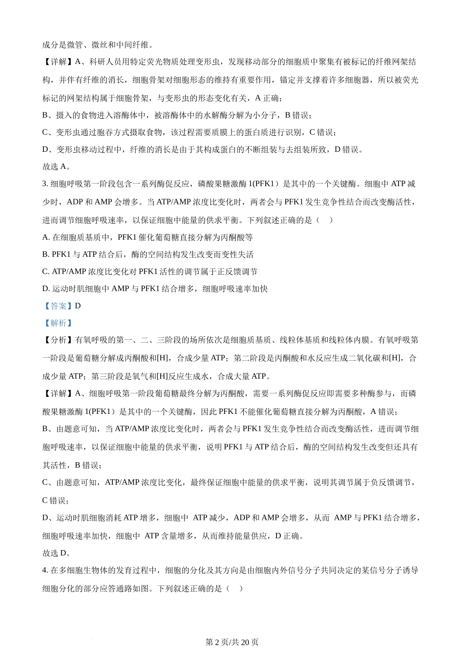 2024年高考生物试卷（安徽）（解析卷）.docx_第2页