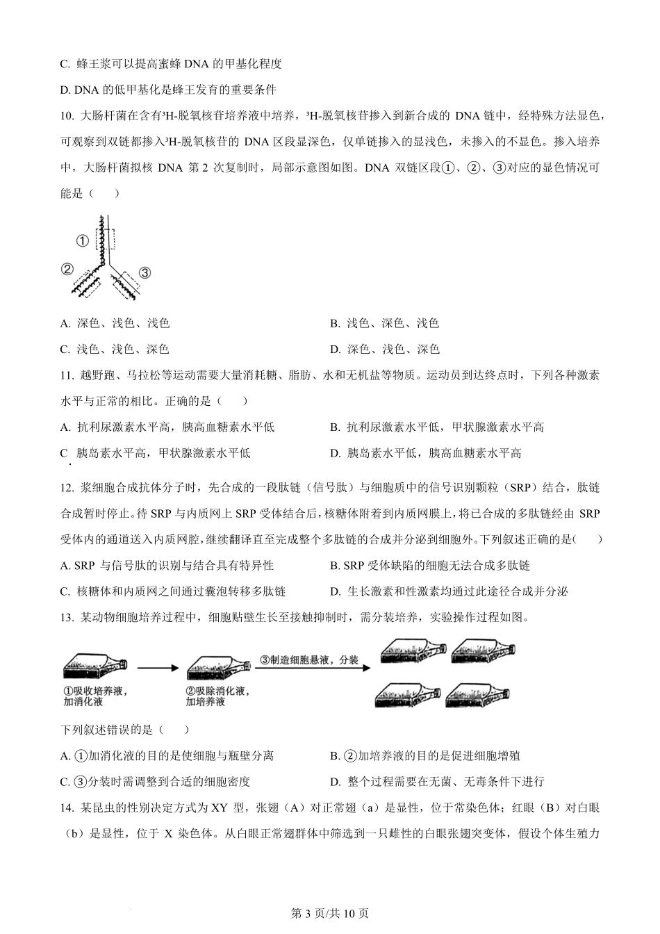 2024年高考生物试卷（浙江）（1月）（空白卷）.pdf_第3页