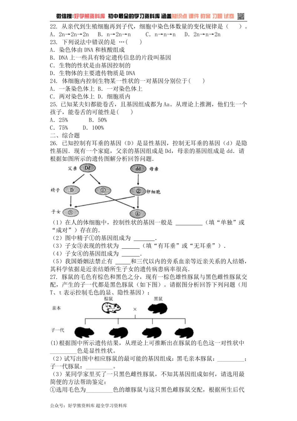八年级生物人教版下册 第7单元第2章 生物的遗传和变异 单元测试题.pdf_第3页