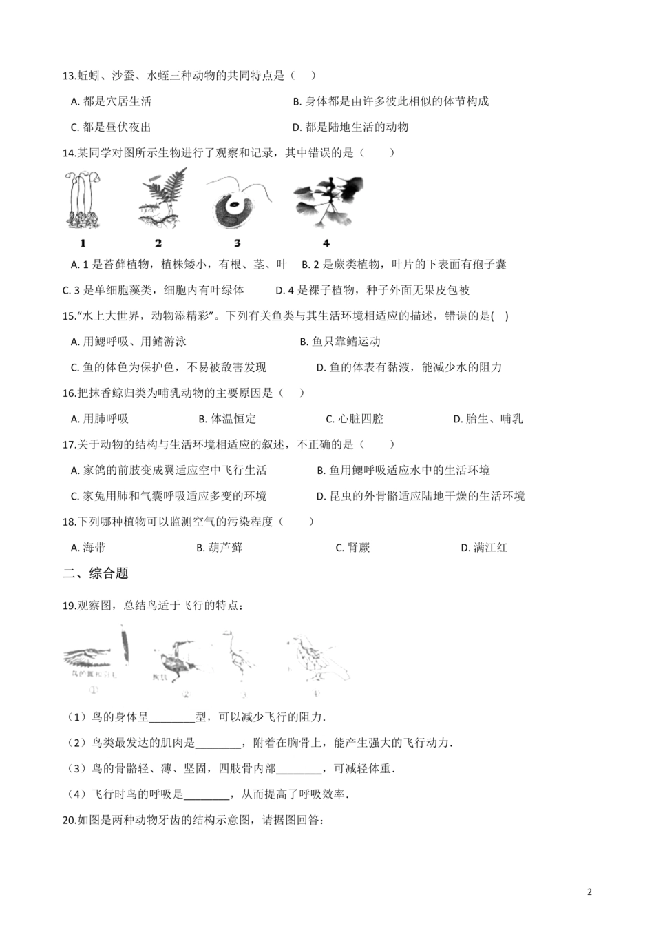 北师大版生物八年级下册 第22章 物种的多样性 单元测试题.pdf_第2页