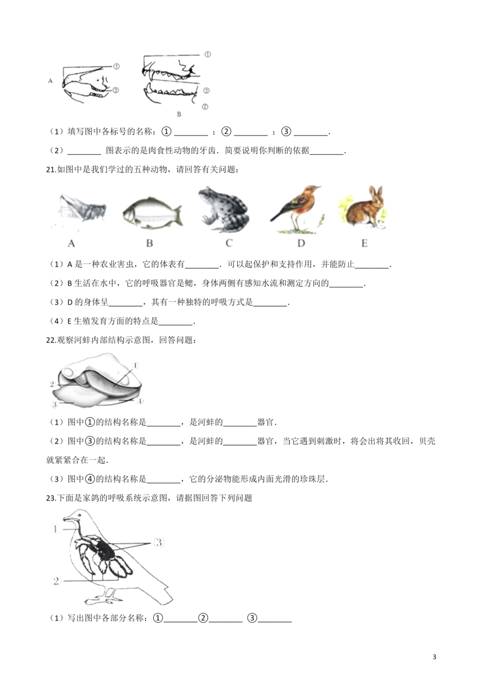 北师大版生物八年级下册 第22章 物种的多样性 单元测试题.pdf_第3页