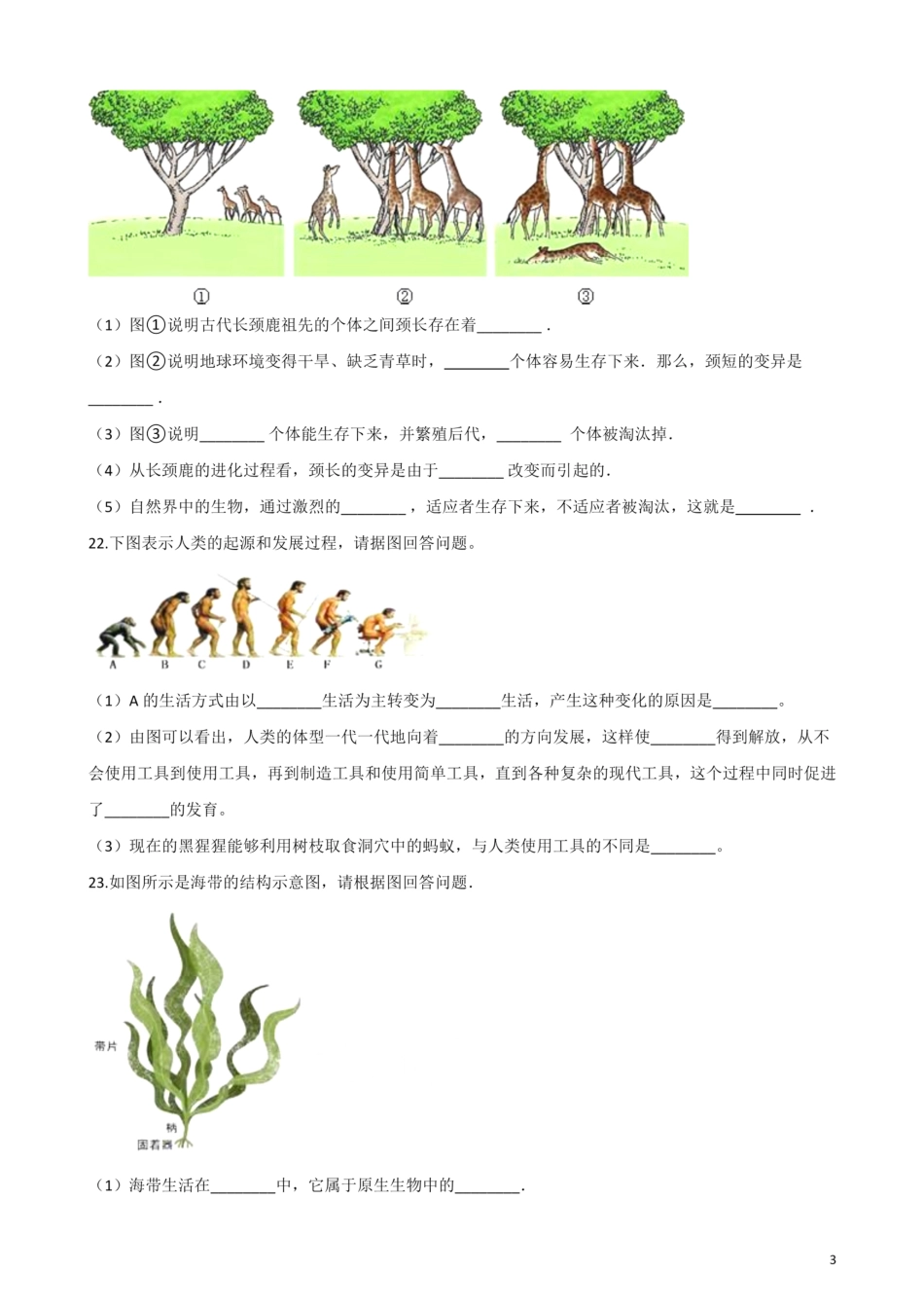 北师大版生物八年级下册 第七单元 生命的演化 单元测试题_00.pdf_第3页