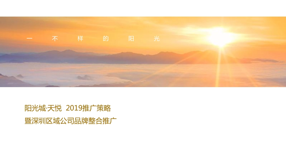 51.马一丁-心智定位广告-阳光城深圳区域品牌整合推广暨天悦传播策略案.pdf_第2页