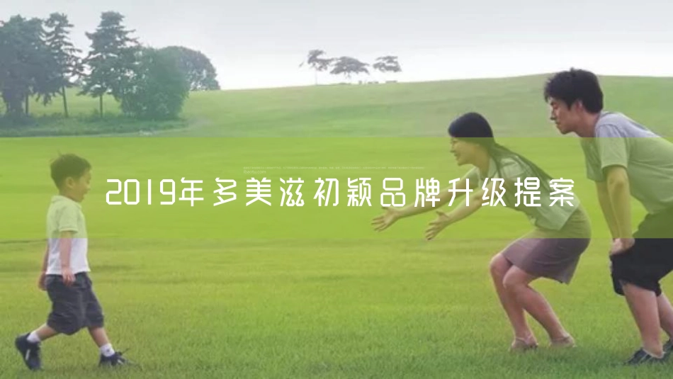 58.年多美滋奶粉初颖品牌策略提案.pdf_第2页