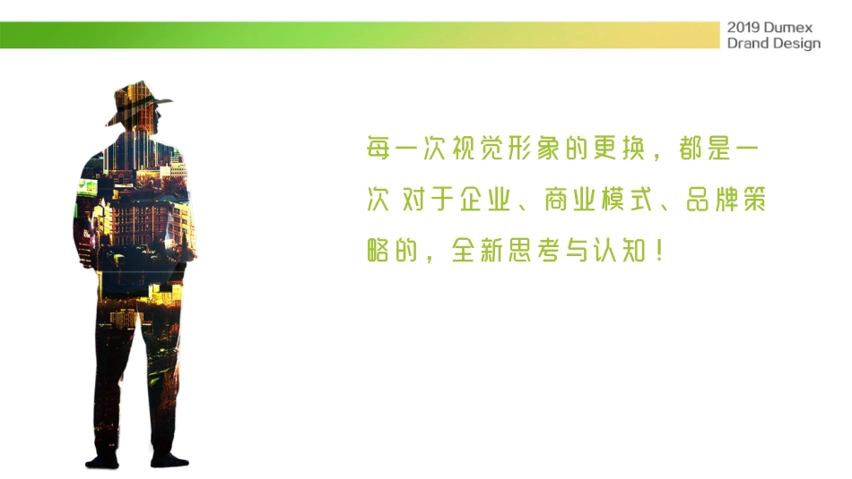 58.年多美滋奶粉初颖品牌策略提案.pdf_第3页
