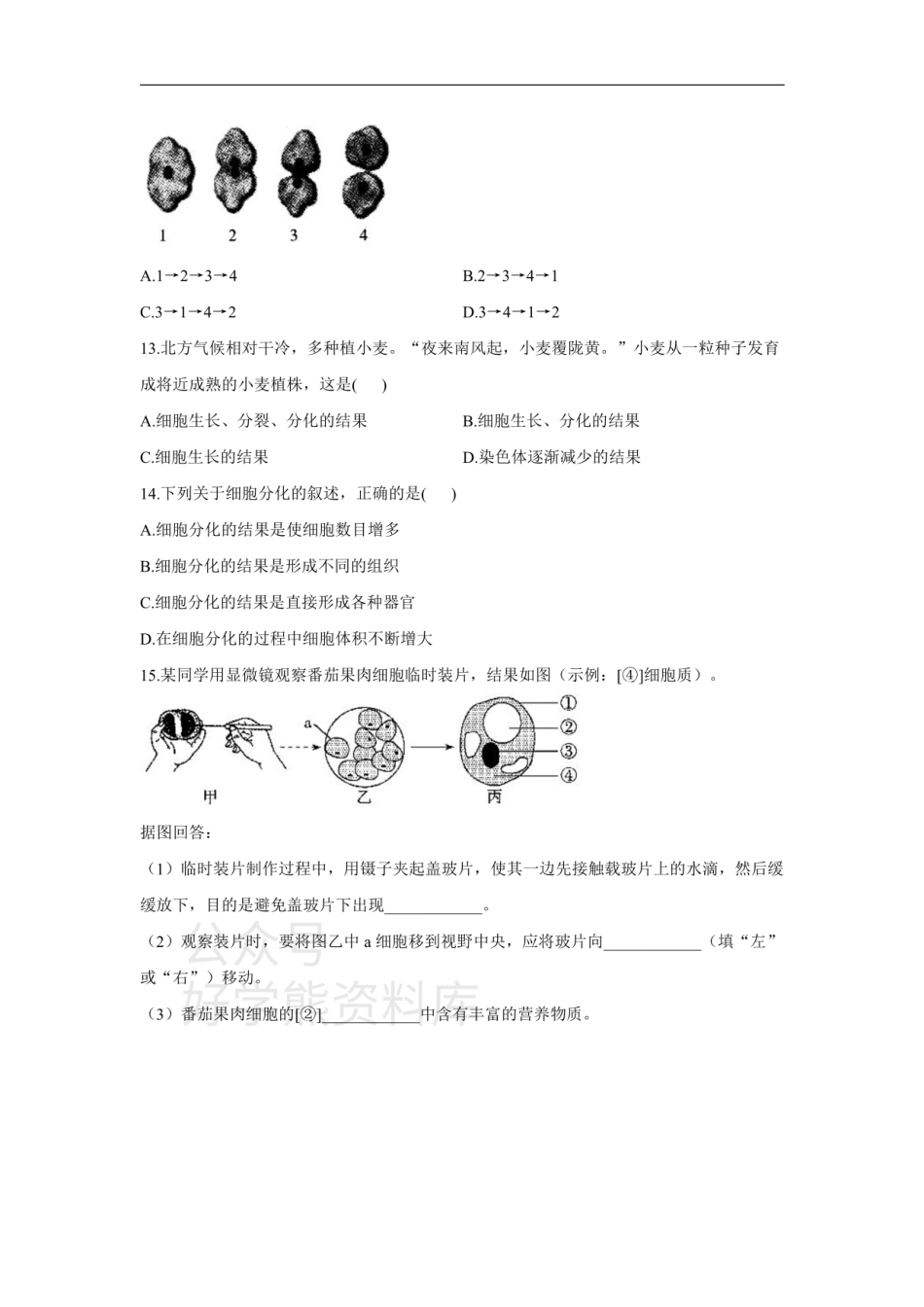 第三章 细胞是生命活动的基本单位.pdf_第3页