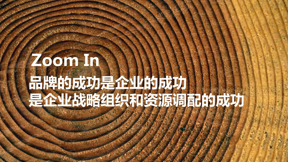 10.2020年中国领导教育营地品牌战略规划及整合营销传播方案.pdf_第3页