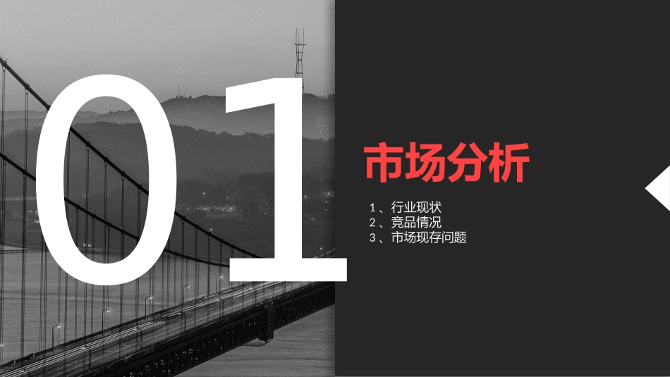 11.弹力猫健康餐品牌推广方案（定位+SLOGAN).pptx_第3页