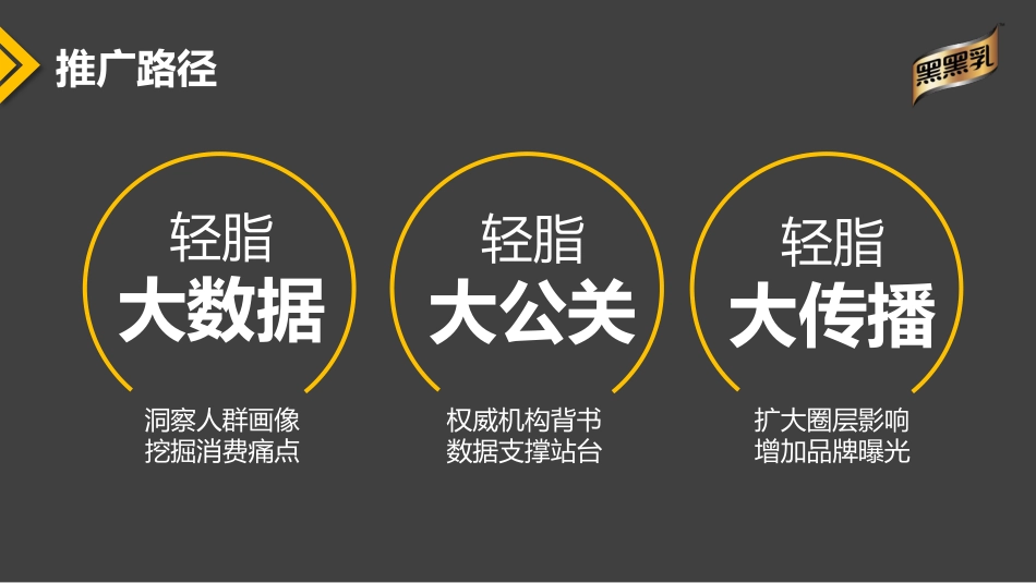 17.【郎琴呈送】中国轻脂日公关行动传播推广方案.pdf_第3页