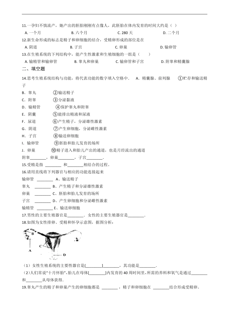 济南版八年级上册生物 4.3人类的生殖和发育 单元测试（解析版）_00.pdf_第2页