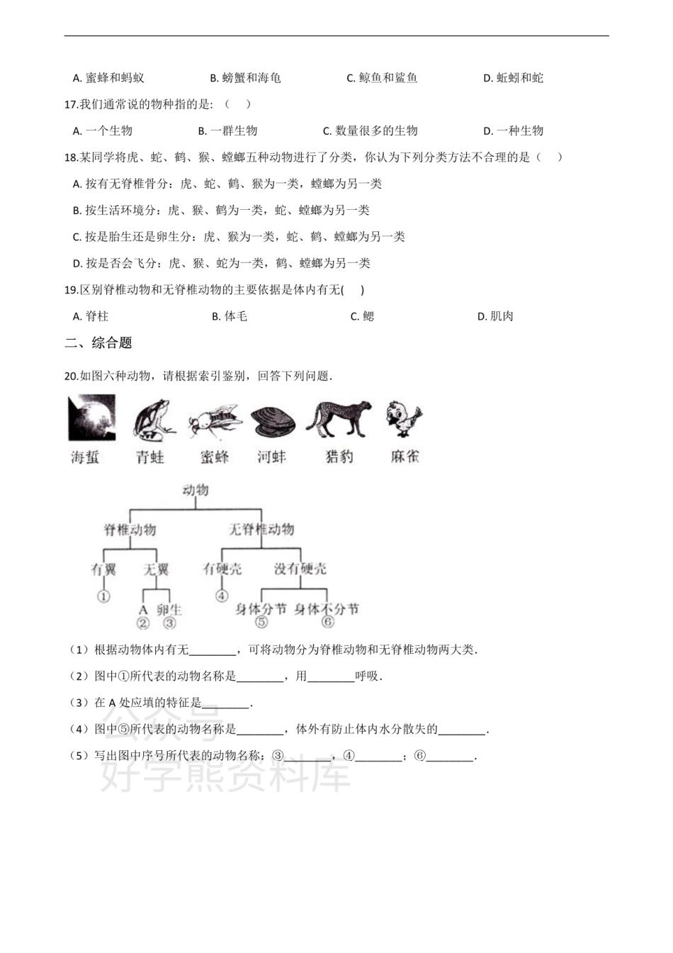 济南版七年级上册生物第二单元 第四章 生物的分类 单元巩固练习题及解析.pdf_第3页