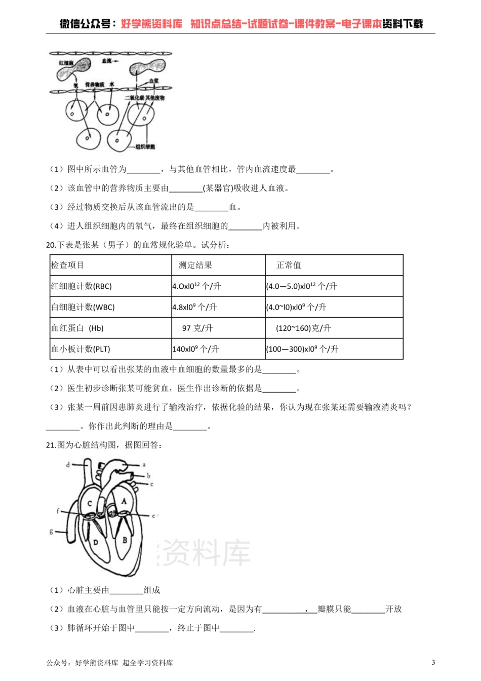 济南版七年级下册生物 第三章 人体内的物质运输 单元测试题.pdf_第3页