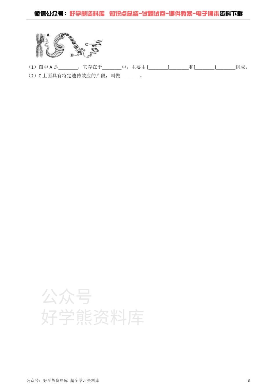 冀教版八下生物跟踪训练 6.2生物的遗传和变异（解析版）.pdf_第3页