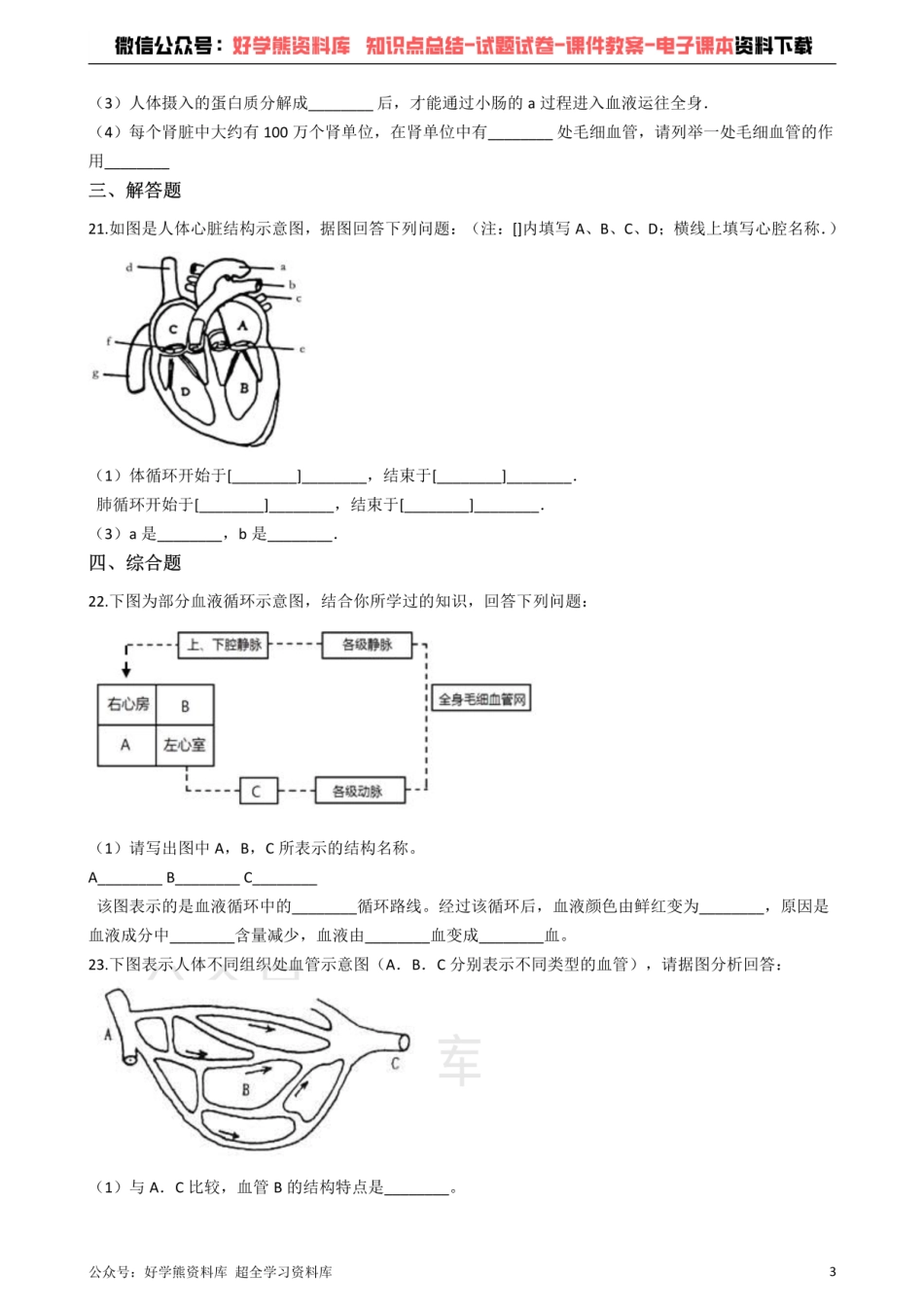 冀教版七年级下册生物 第二章 爱护心脏 确保运输 单元检测.pdf_第3页