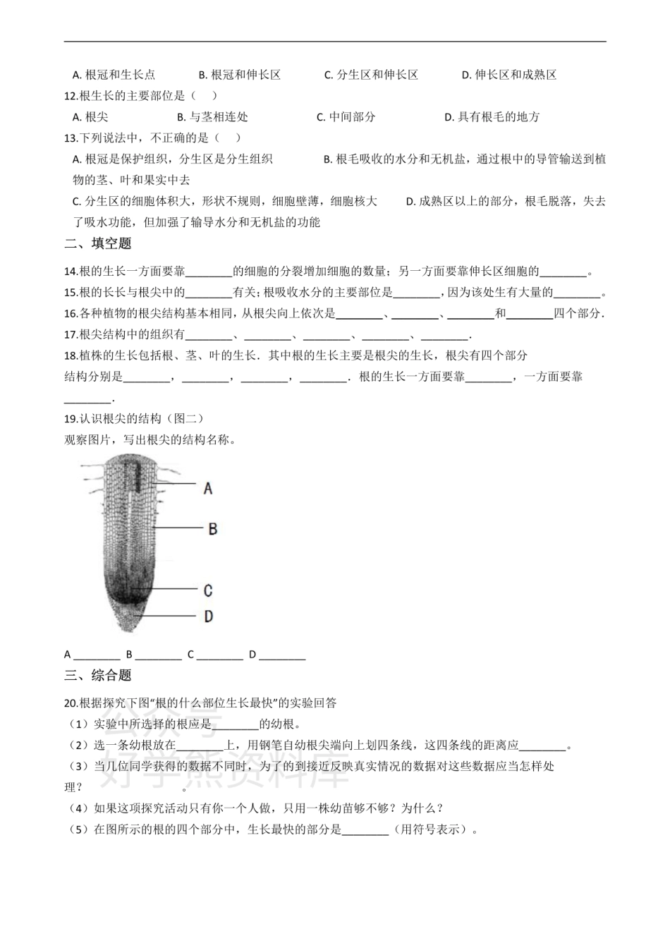 冀少版八年级上册生物 3.2根的吸收 单元测试（含解析）.pdf_第2页