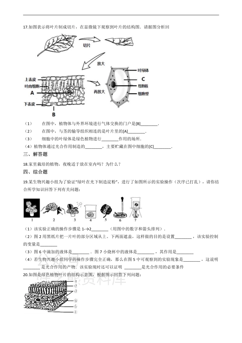 冀少版八年级上册生物 3.5绿色植物在生物圈中的作用 单元测试（含解析）.pdf_第3页