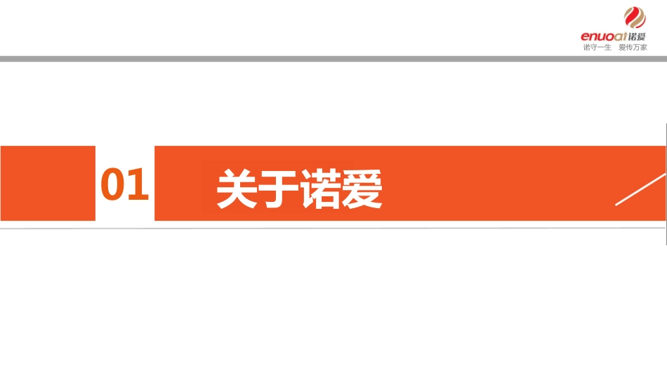 63.欧赛斯诺爱保险互联网金融品牌建设定位策划规划方案.pdf_第3页