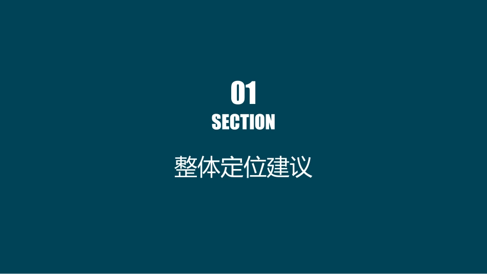 76.新世界百货江苏润福城商业整体定位及执行方案汇报.pdf_第3页