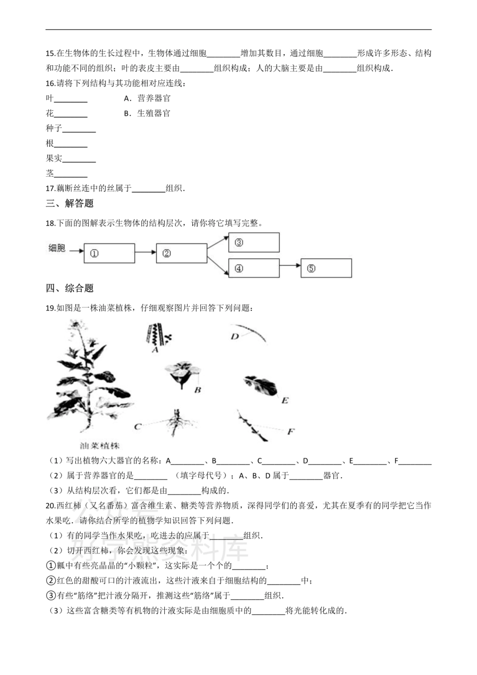 七年级上册生物 第二章 生物体的结构层次 单元测试（含解析）.pdf_第2页