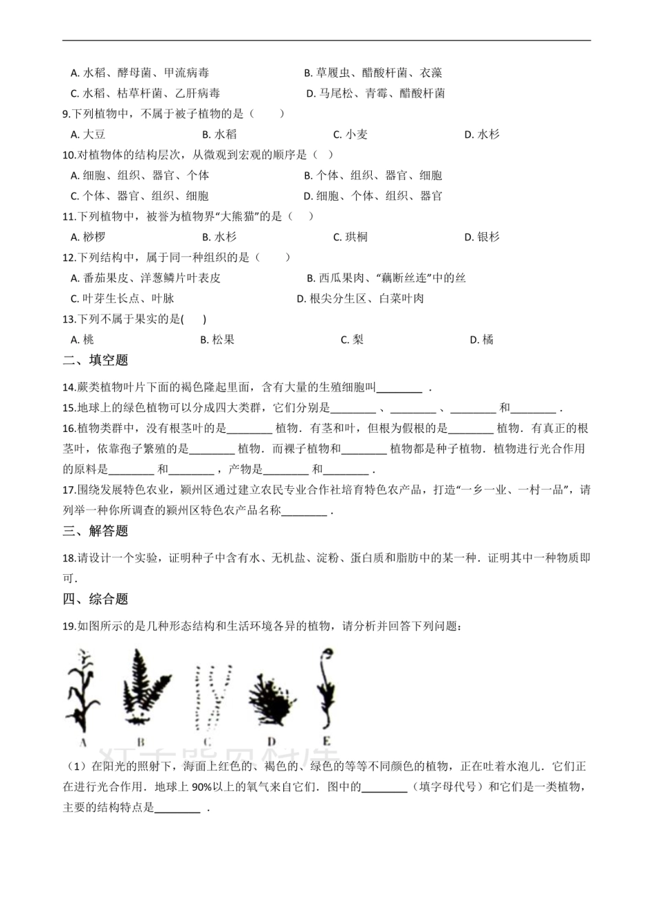 七年级上册生物 第三章 形形色色的植物 单元测试（含解析）.pdf_第2页