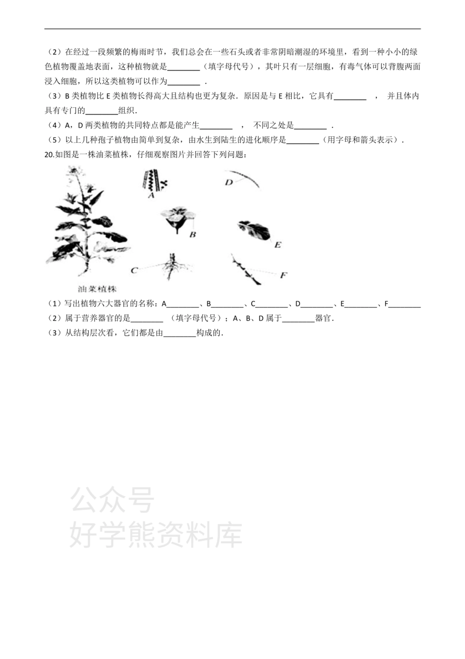 七年级上册生物 第三章 形形色色的植物 单元测试（含解析）.pdf_第3页