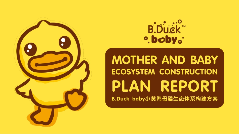 B.Duck baby小黄鸭母婴生态体系构建方案.pdf_第1页