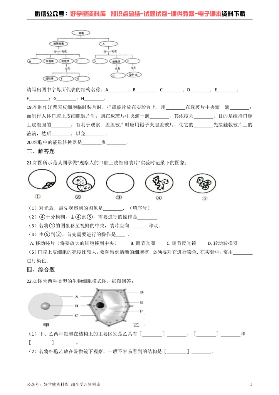 人教版七年级上册生物 2.1细胞是生命活动的基本单位 单元测试（解析版）.pdf_第3页