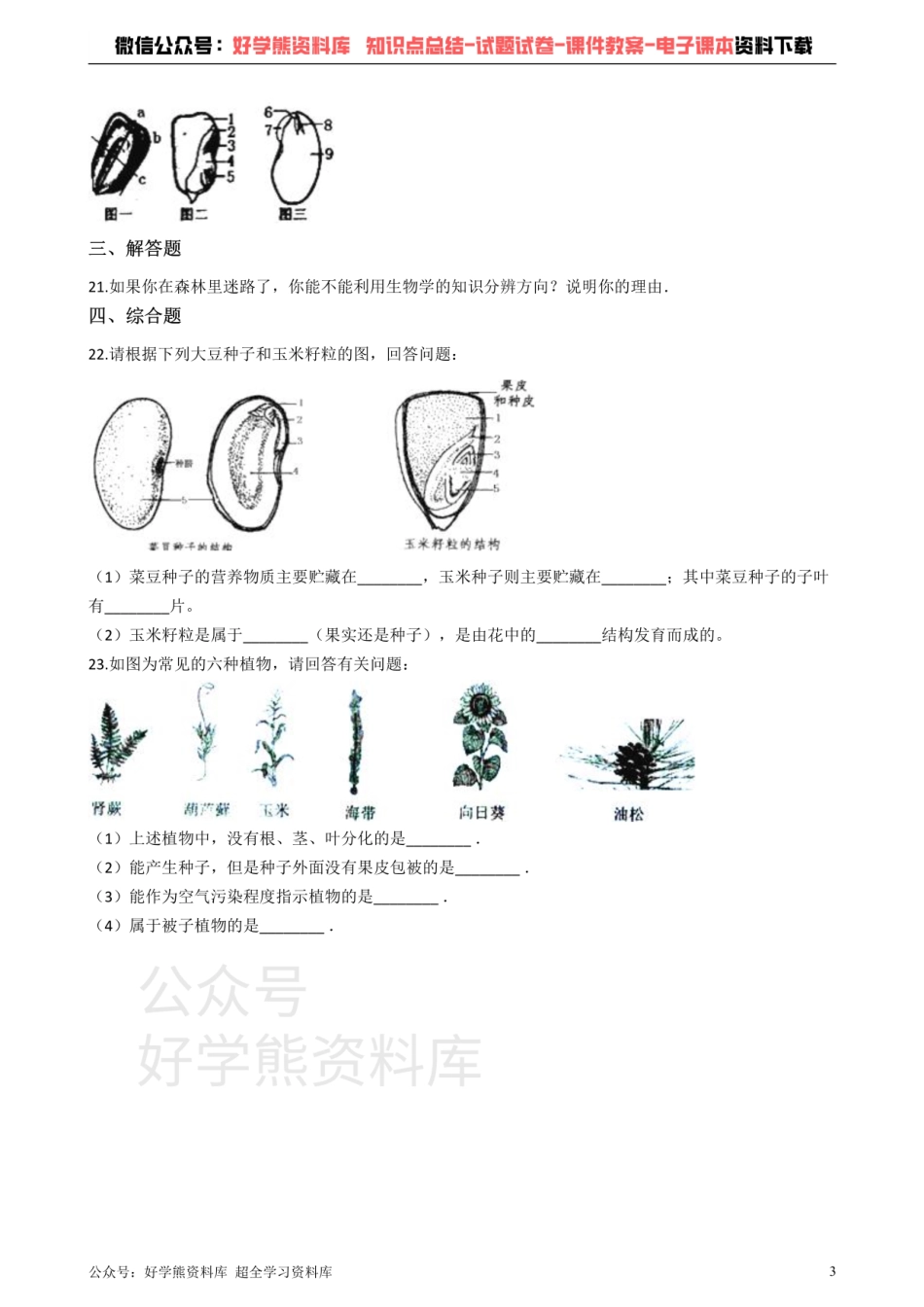 人教版七年级上册生物 3.1生物圈中有哪些绿色植物 单元测试（解析版）.pdf_第3页