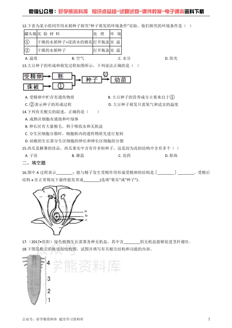 人教版七年级上册生物 3.2被子植物的一生 单元测试（解析版）.pdf_第2页