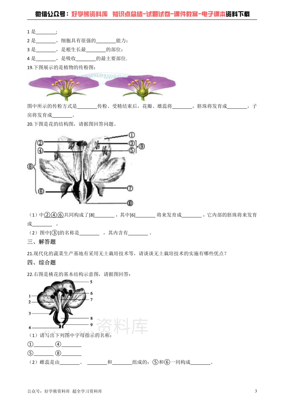 人教版七年级上册生物 3.2被子植物的一生 单元测试（解析版）.pdf_第3页