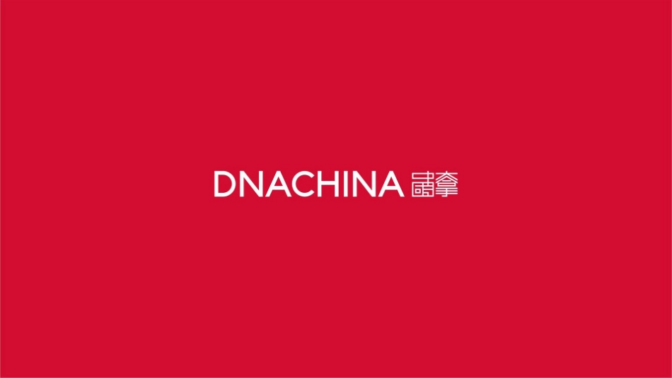 大拿中国DNACHINA-长房集团2020年品牌整合推广全案.pptx_第1页